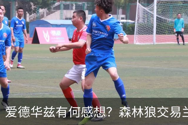 爱德华兹有何感想？森林狼交易兰德尔断臂求生 只为续约道苏姆？